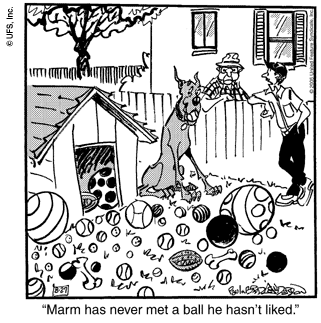 marmaduke